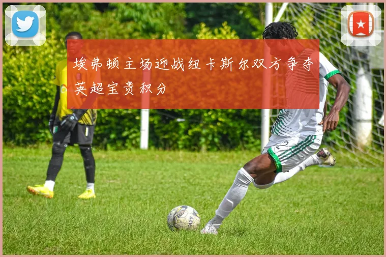 埃弗顿主场迎战纽卡斯尔双方争夺英超宝贵积分