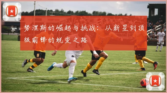努涅斯的崛起与挑战：从新星到顶级前锋的蜕变之路
