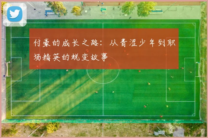付豪的成长之路：从青涩少年到职场精英的蜕变故事