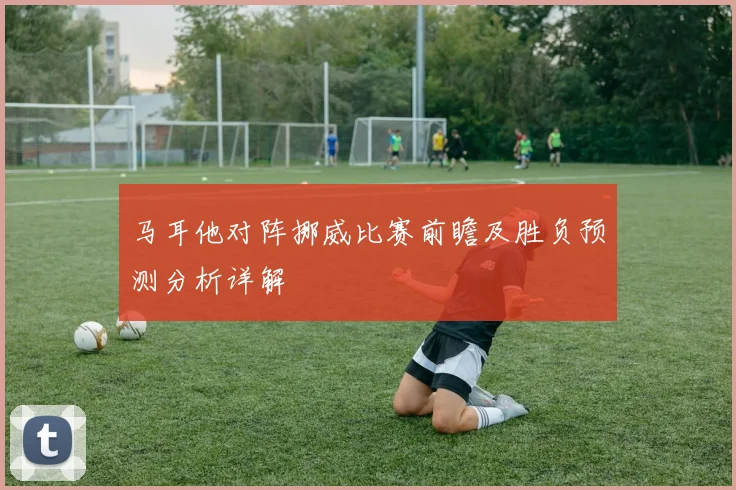 马耳他对阵挪威比赛前瞻及胜负预测分析详解