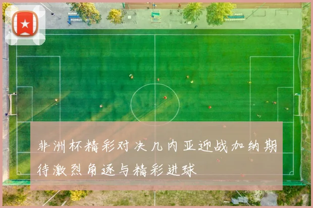 非洲杯精彩对决几内亚迎战加纳期待激烈角逐与精彩进球