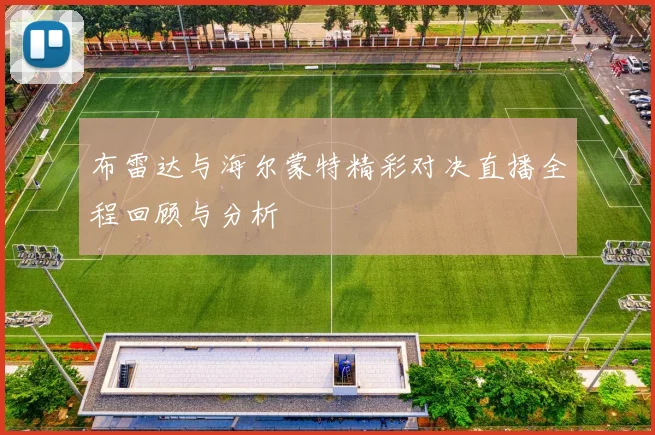 布雷达与海尔蒙特精彩对决直播全程回顾与分析