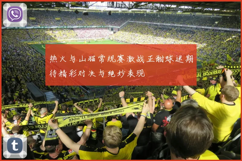热火与山猫常规赛激战正酣球迷期待精彩对决与绝妙表现