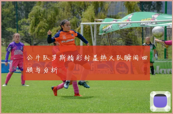 公牛队罗斯精彩封盖热火队瞬间回顾与分析